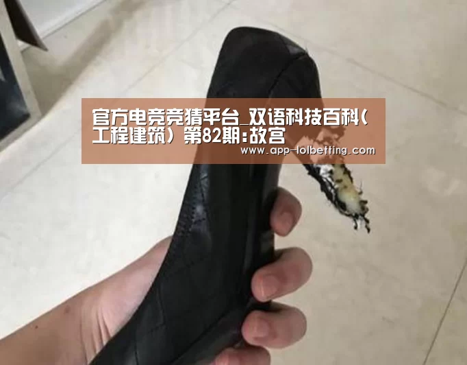  官方电竞竞猜平台