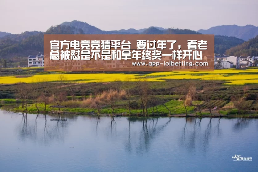  官方电竞竞猜平台
