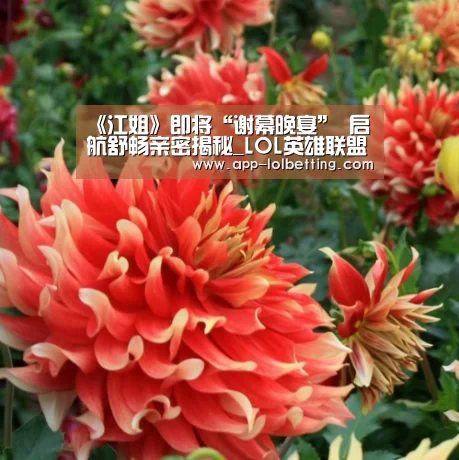 《江姐》即将“谢幕晚宴” 启航舒畅亲密揭秘_LOL英雄联盟投注 (图1) LOL英雄联盟投注