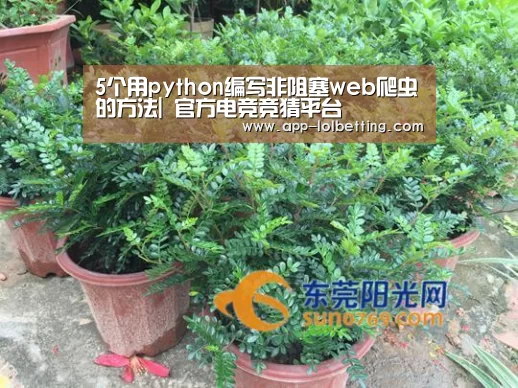 5个用python编写非阻塞web爬虫的方法| 官方电竞竞猜平台(图4) LOL英雄联盟投注